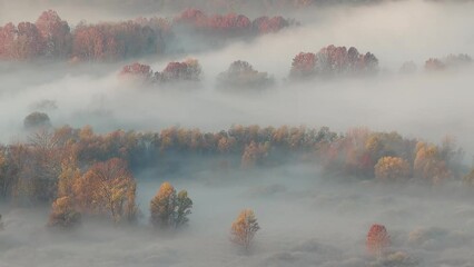 Wall Mural - Dancing fog, sunrise in the autumn season