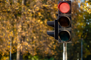 Wall Mural - Red traffic light in semaphore closeup. Bright colored autumn background.