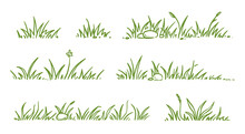 Grass Doodle Sketch Style Set. Hand Drawn Green Grass Field Outline Scribble Background. Sprout, Flower, Clover Elements. Vector Illustration.