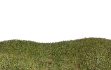 Wall Mural - Grass isolated transparency background..