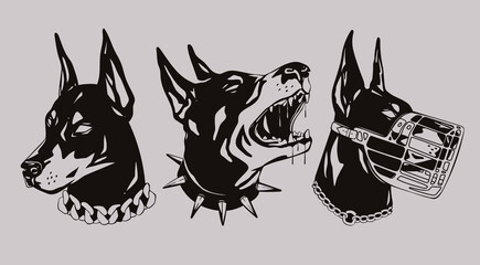 Wall Mural - Portraits of a Doberman dog. Set of three various heads. Dog with spiked and chain collar, dog with muzzle. Calm and Barking doberman. Hand drawn Vector illustration. Print, dog training logo template