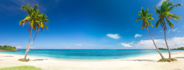 Wall Mural - panorama of tropical beach with coconut palm trees