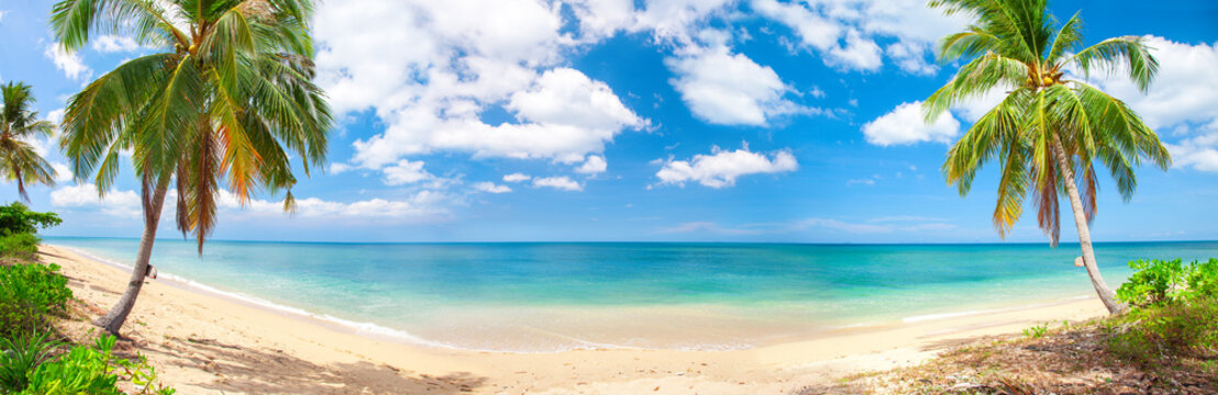 Fototapete - panorama of tropical beach with coconut palm trees