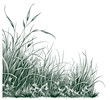 Wild grass decor sketch hand drawn Vector illustration.