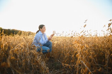 Sticker - Caucasian female farm worker inspecting soy at field summer evening time somewhere in Ukraine