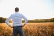© Serhii - agronomist or farmer examining crop of soybeans field