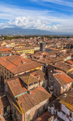 Wall Mural - lucca, italy. rooftops of a medieval town