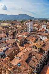 Wall Mural - lucca, italy. scenic aerial view of the city