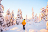 Fototapeta  - Young woman in winter forest in Finland