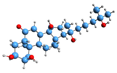 Canvas Print -  3D image of Ecdysone skeletal formula - molecular chemical structure of insect molting prohormone  isolated on white background