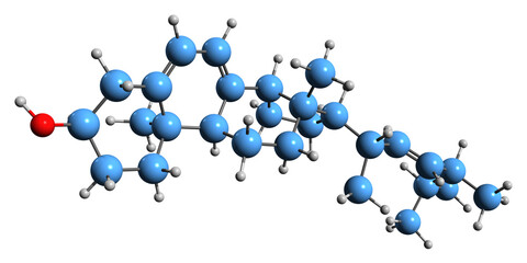 Wall Mural -  3D image of Ergosterol skeletal formula - molecular chemical structure of fungal sterol isolated on white background