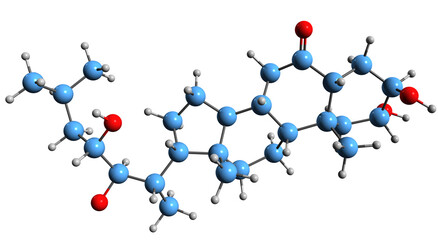 Canvas Print -  3D image of 28-Norcastasterone skeletal formula - molecular chemical structure of  isolated on white background