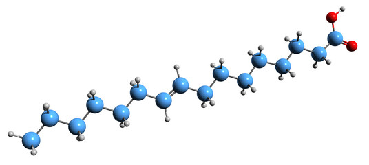 Poster -  3D image of Palmitoleic acid skeletal formula - molecular chemical structure of Hexadecenoic acid isolated on white background