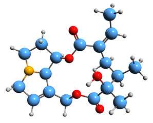 Poster -  3D image of Senecifyllin skeletal formula - molecular chemical structure of pyrrolizidine alkaloid isolated on white background
