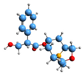 Poster -  3D image of Scopolamine skeletal formula - molecular chemical structure of tropane alkaloid hyoscine isolated on white background