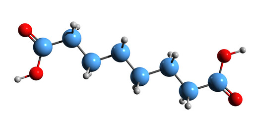 Poster -  3D image of Suberic acid skeletal formula - molecular chemical structure of Octanedioic acid isolated on white background