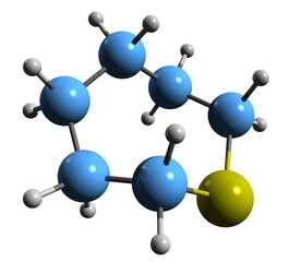 Poster -  3D image of Thiepane skeletal formula - molecular chemical structure of  organosulfur compound isolated on white background
