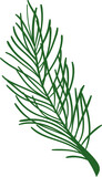 Fototapeta  - Christmas pine leaf branch 