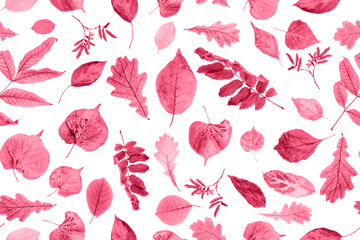 Trendy color of the year 2023. Seamless pattern of natural leaves on a white background, as a backdrop or texture toned in viva magenta color