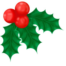 Holly Leave Illustration Png Clip Art.  Transparent Background. Christmas Decoration Element.