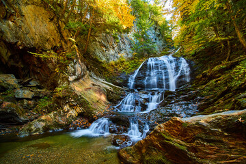 Wall Mural - Fall leaves cover rocky gorge with raging waterfall and trees in peak foliage