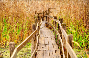 Sticker - Autumn colors in the Hungarian countryside, HDR Image