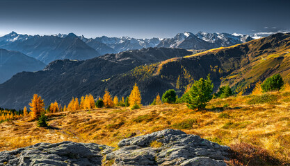 Panorama of Zillertal Alps on a sunny day of October with grass and larch trees in beautiful autumn colors. Dramatic alpine landscape in autumn. Hiking in Austrian Alps.