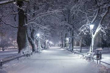 Wall Mural - A snow-covered park in Krakow captured at night. Thanks to the large amount of snow, a fairy-tale atmosphere was created.