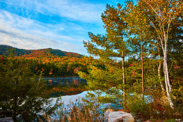 Wall Mural - Pine trees and rocks on coast of beautiful lake during peak fall with hills of trees