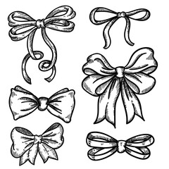 Wall Mural - Beautiful hand drawn ribbon decorative bows set vector illustration