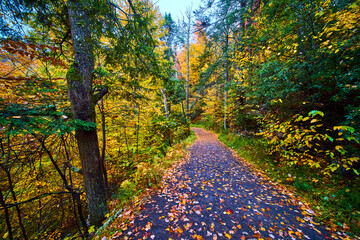 Wall Mural - Fall hiking trail in New York park covered in colorful foliage