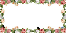 Ornamental Rose Floral Border, Decorative Frame And Plants On Isolated Empty Background