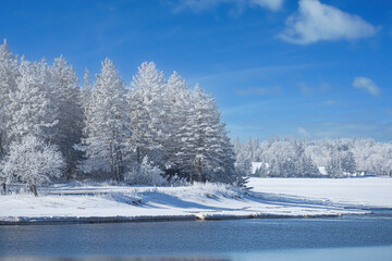 Wall Mural - Snow and frost covered trees and vegetation along a river.