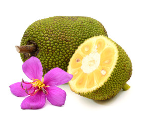 Raw jackfruit