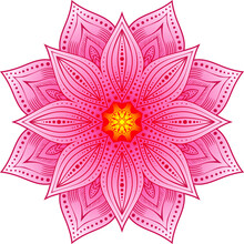 Lotus Pink Flower