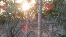 Romantic Castle  Sunlight Breaking Through Trees Left To Right Panorama