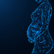 Pregnancy, fetal development in a woman's abdomen. Polygonal design of interconnected lines and points. Blue background.