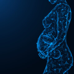 Pregnancy, fetal development in a woman's abdomen. Polygonal design of interconnected lines and points. Blue background.