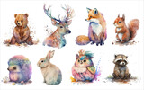 Fototapeta Fototapety na ścianę do pokoju dziecięcego - Safari Animal set hedgehog, fox, squirrel, deer, hare, owl, raccoon, bear in watercolor style. Isolated vector illustration