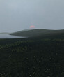 Sci-Fi surreal dreamy landscape with grass. 3d render, 3d illustration.