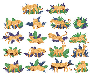 Wall Mural - leopard with spotted coat in tropical exotic foliage big vector set