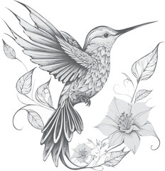 Sticker - beautifull hummingbird