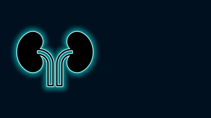 Poster - Glowing neon line Human kidneys icon isolated on black background. 4K Video motion graphic animation