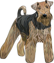 A childs christmas in wales questions and answers