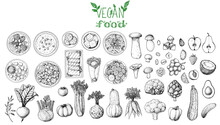 Vegan Food Sketch Elements. Hand Drawn Vector Illustration. Menu Design Template. Vegan Food Sketch. Design Template. Product Design. Great For Packaging, Recipe Book, Menu. Vegetarian Food Sketch Set