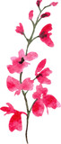 Fototapeta Motyle - red carnation flowers