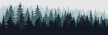 Mountain Forest Background Texture Vector Illustration, Silhouette Of Coniferous Forest. Fir Trees Covered In Fog. Horizontal Landscape