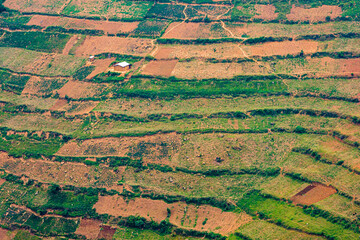 Canvas Print - fields