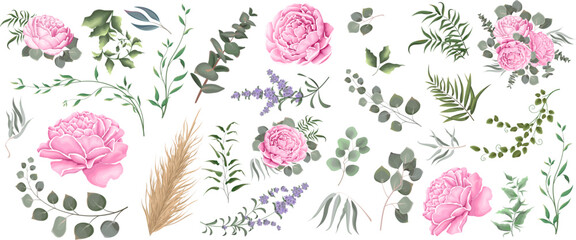 Wall Mural - Vector grass and pink flower set. Eucalyptus, different plants and leaves, lavender, pink peony, dry wood. 