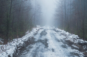 Sticker - Forest road in the fog